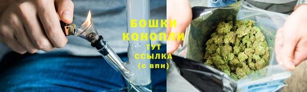 гашик Беломорск