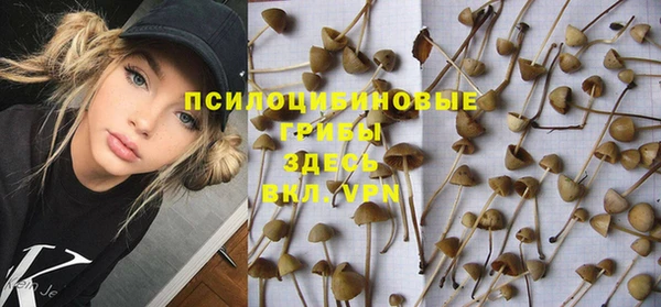 MESCALINE Богданович