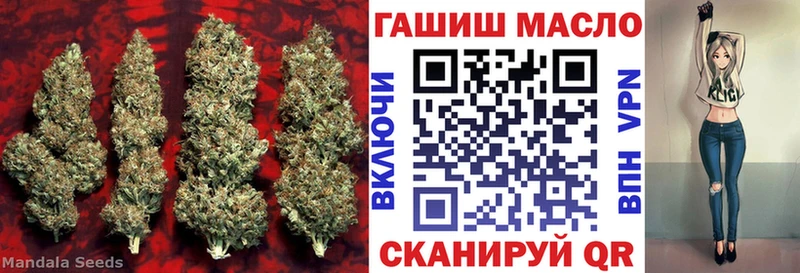 ТГК вейп  Буйнакск 